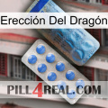 Erección Del Dragón 40